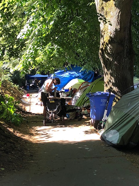 Laurelhurst Park PDX tweet media