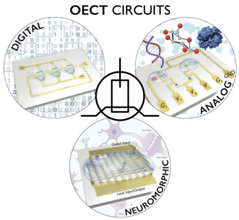 <a href="/ReemBRas/">Reem Rashid</a> and <a href="/ji_xudong/">Xudong Ji</a> review the state of organic electrochemical transistors in bioelectronic circuits -- well done team! sciencedirect.com/science/articl…