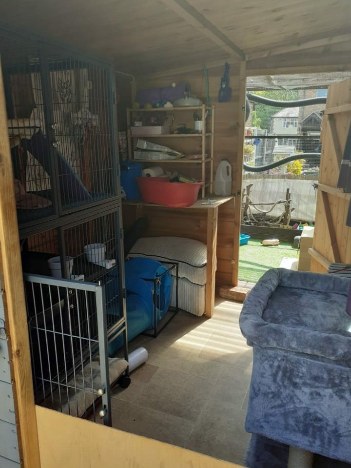FerretsL's tweet photo. @emzoticofficial This is my ferrets enclosure, the shed is 5x6 and the enclosure is about 5x12.
The shed was customized, and the enclosure I built myself. I'm in the uk so I'm lucky I can provide this for them, they love it and so do I! They're my pride and joy☺🐾 https://t.co/YecFLmFsQR