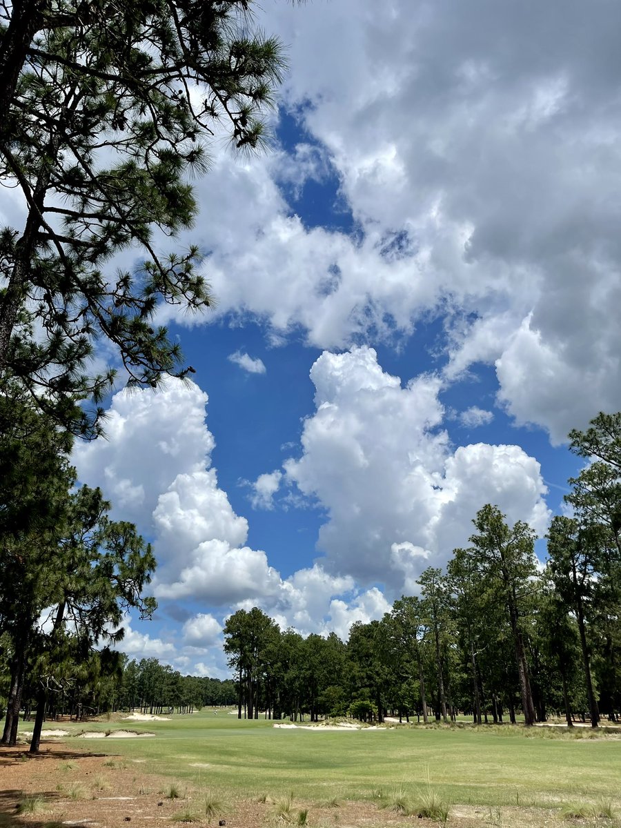 golf_always's tweet photo. Day 2 of stroke play at Pinehurst North South Amateur. https://t.co/9Tgtw0lTS2