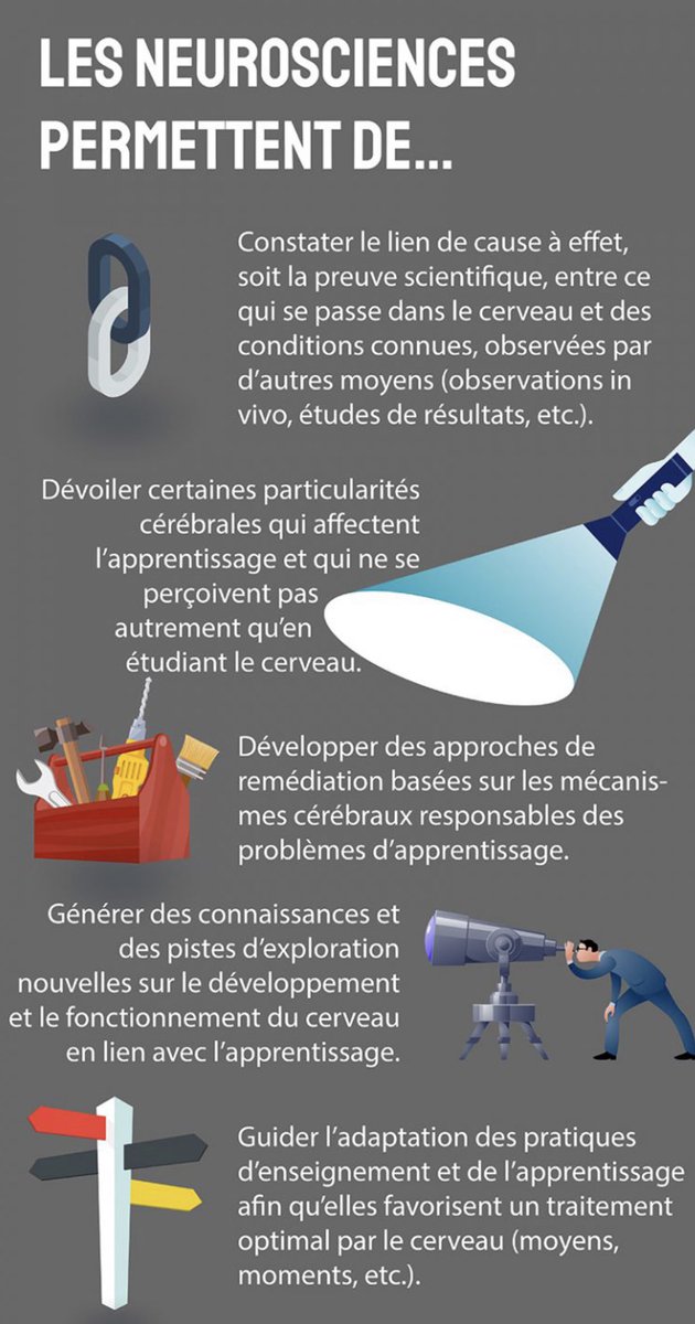 florencelebras's tweet photo. 10 apports des #neurosciences à l’éducation https://t.co/BTSpRUBKHt https://t.co/lXhw38aS82