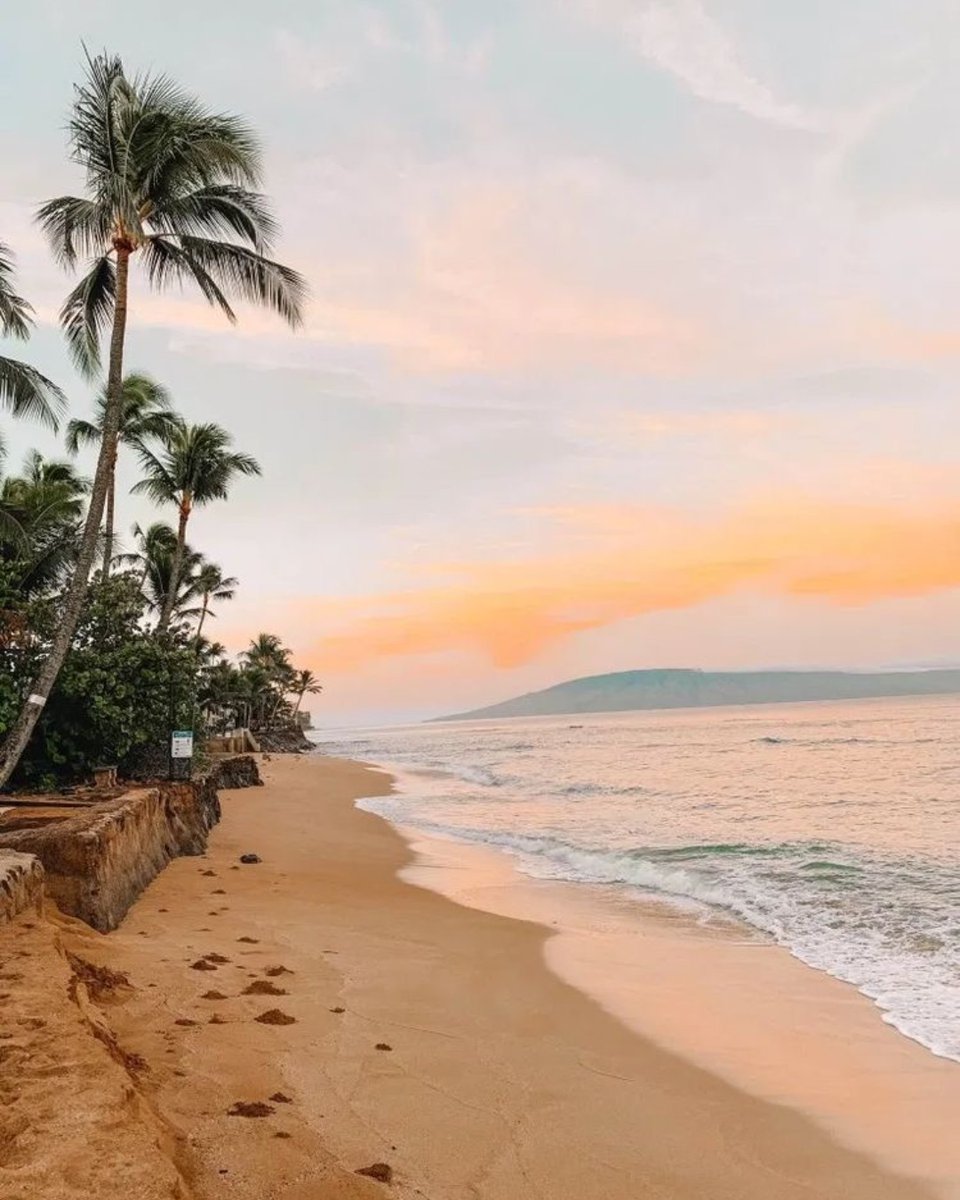 SimonsShoes's tweet image. Could really use a snorkel with some fishies right now 🐟 🐠 Just keep, swimming, just keep swimming, just keep swimming, swimming, swimming... 🐡

#hawaii #vacation #maui #nemo #swim #tropical #love #like #fish #holiday #travel