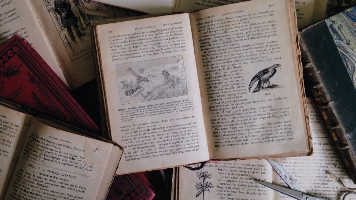 orien (@ladyoforien) on Twitter photo 