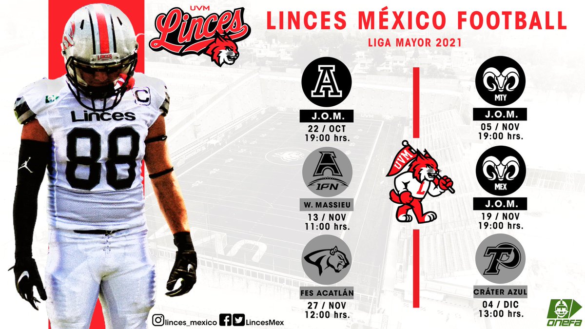 Linces México tweet media