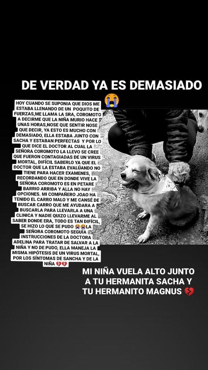 RescatistasdCorazon tweet media