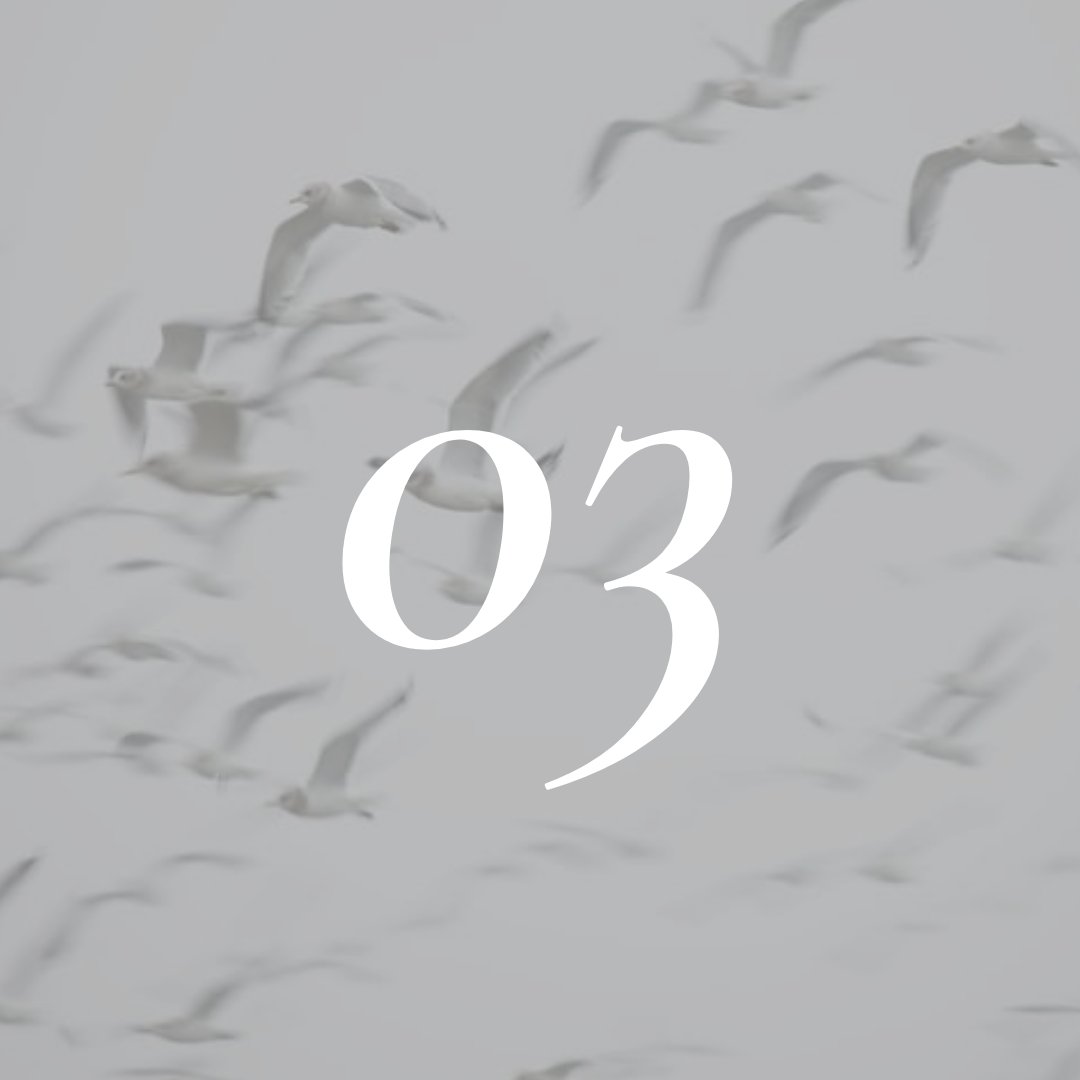 it's here!! ISSUE 03: FLIGHT is published now on our website, featuring some amazing young writers ― click the link in our bio to read! ☁️🪶