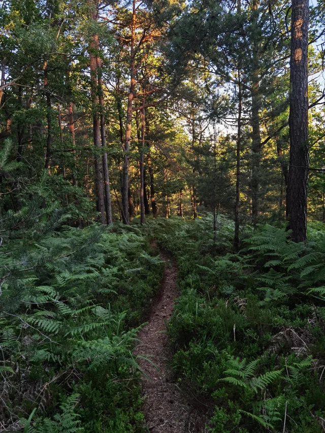 SocietyCamping's tweet photo. ⛰️After work hike in nearest hills

#Campaign #CampingWorldSRX #Campaign #outdoor #campinglife https://t.co/eozDBPZYIE