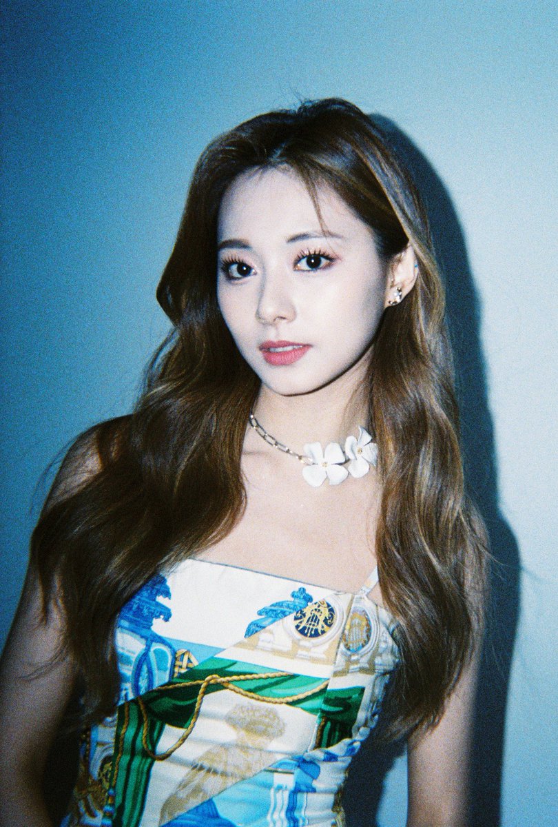 picturetzu's tweet photo. she’s perfect. https://t.co/QiYj2Hv5GX