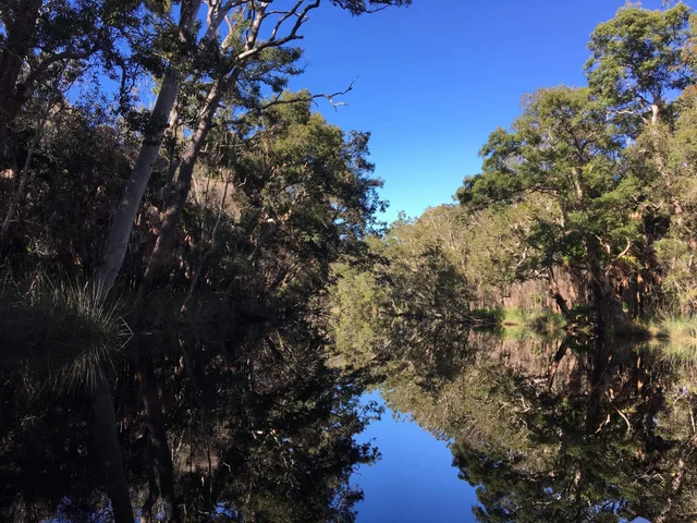 SocietyCamping's tweet photo. ❤️Noosa Everglades

#CampingWorldSRX #CampingWorldSRX #campingworldnhra #Riverside https://t.co/Q3F95VTG3d