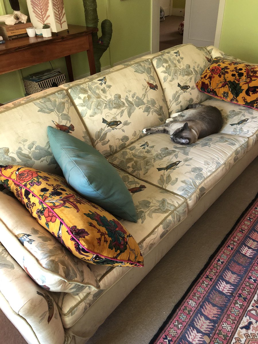 SJ Keller (@sjanekeller) on Twitter photo Related to the <a href="/mileswgriffis/">Miles W. Griffis</a> avian drag story, I leave you with my one and only Pride-related contribution to this platform: my authentic bisexual Pride couch. Because when you can’t be IKEA put a bunch of hands on it, you can always put a bird on it. Related to the <a href="/mileswgriffis/">Miles W. Griffis</a> avian drag story, I leave you with my one and only Pride-related contribution to this platform: my authentic bisexual Pride couch. Because when you can’t be IKEA put a bunch of hands on it, you can always put a bird on it.
