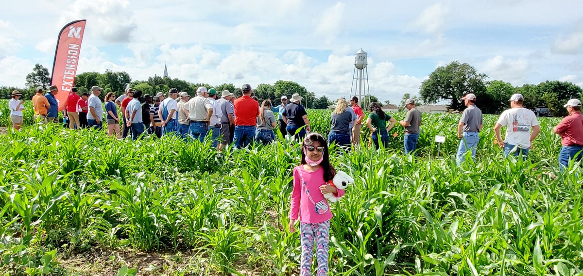 JhalaRachana's tweet image. Aarya got to know more about Palmer amaranth after attending Daddy's Palmer amaranth management field day at Carleton, NE!
@AmitUNL
@UNLAgHortOnline
@UNLExtension