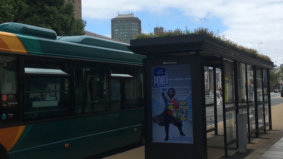 cardiffcouncil's tweet photo. Have you spotted Cardiff’s first Bee Bus Stop yet? 

Featuring a living roof planted with wildflowers to attract pollinators, the bus stop on Castle St also helps absorb CO2 and air pollution.

Look out for more Bee Bus Stops coming soon!

#OnePlanetCardiff

@clearchanneluk https://t.co/WWH4kJKhfb
