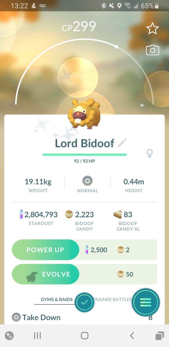 ProfessorGlaw's tweet photo. All hail Lord Bidoof!!! #Bidoof #ShinyBidoof #Lord #LordBidoof #PokemonGO https://t.co/yNefCx7AkH