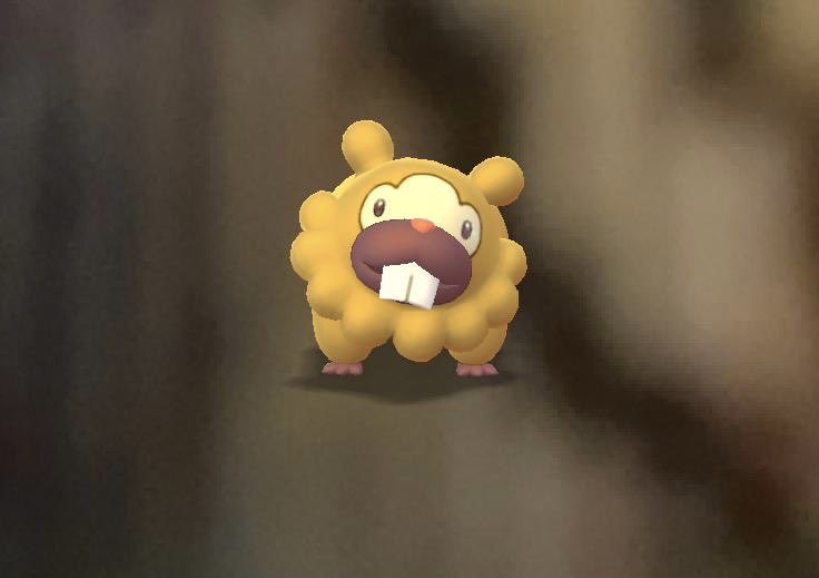 Bidoof! 