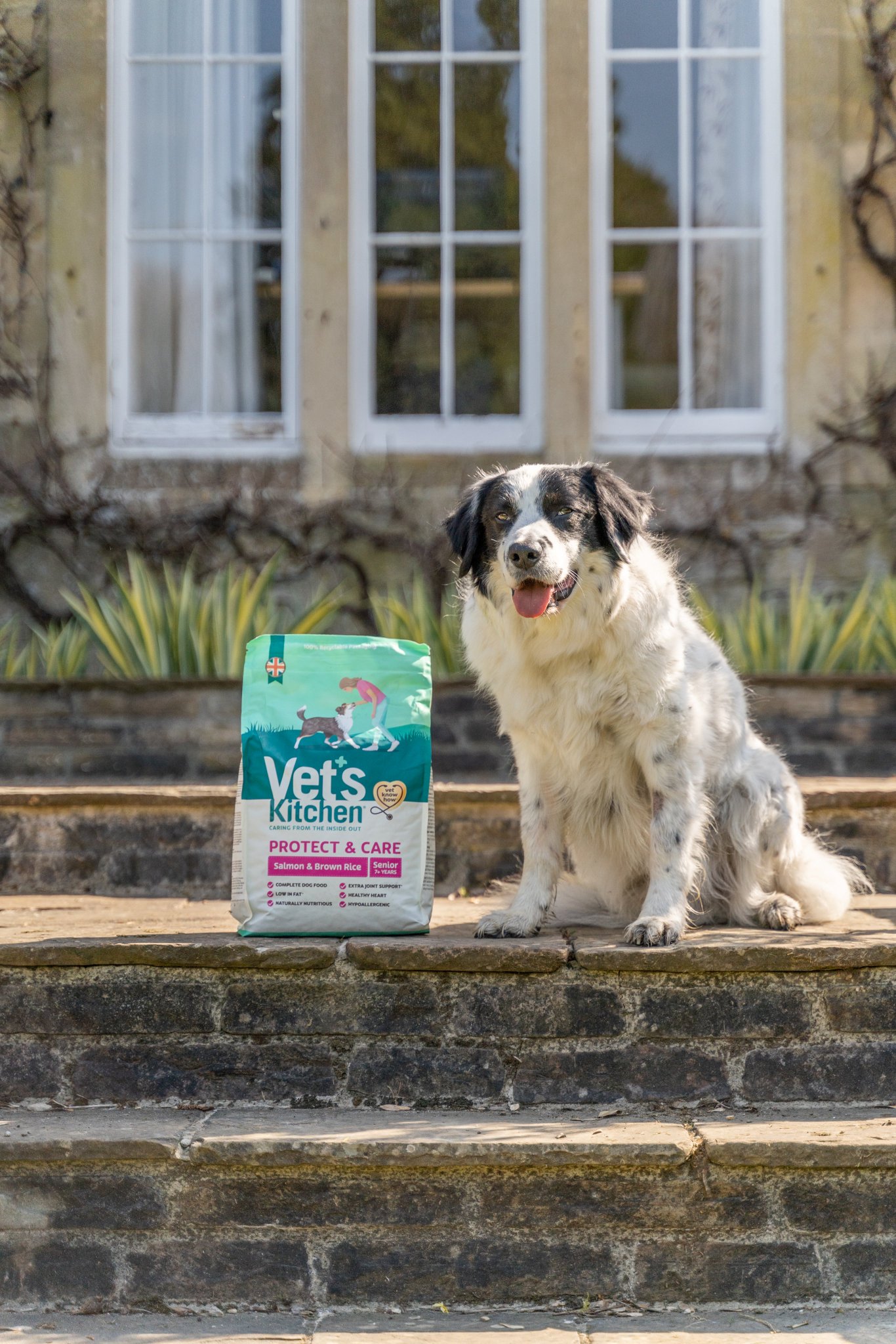 ReviewStudioUK on Twitter "Pet food brand, Vet's Kitchen have launched