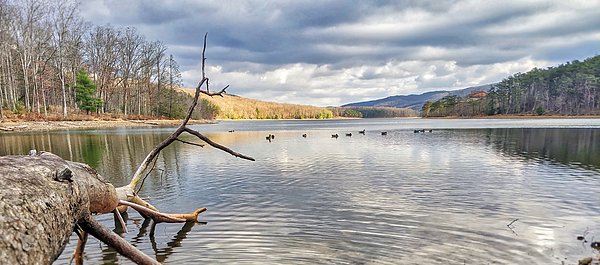 AmberKresge's tweet photo. New artwork for sale! - "Lake Habeeb" - https://t.co/EUINt0Ugb2 @fineartamerica https://t.co/lLA4XtNOLV
