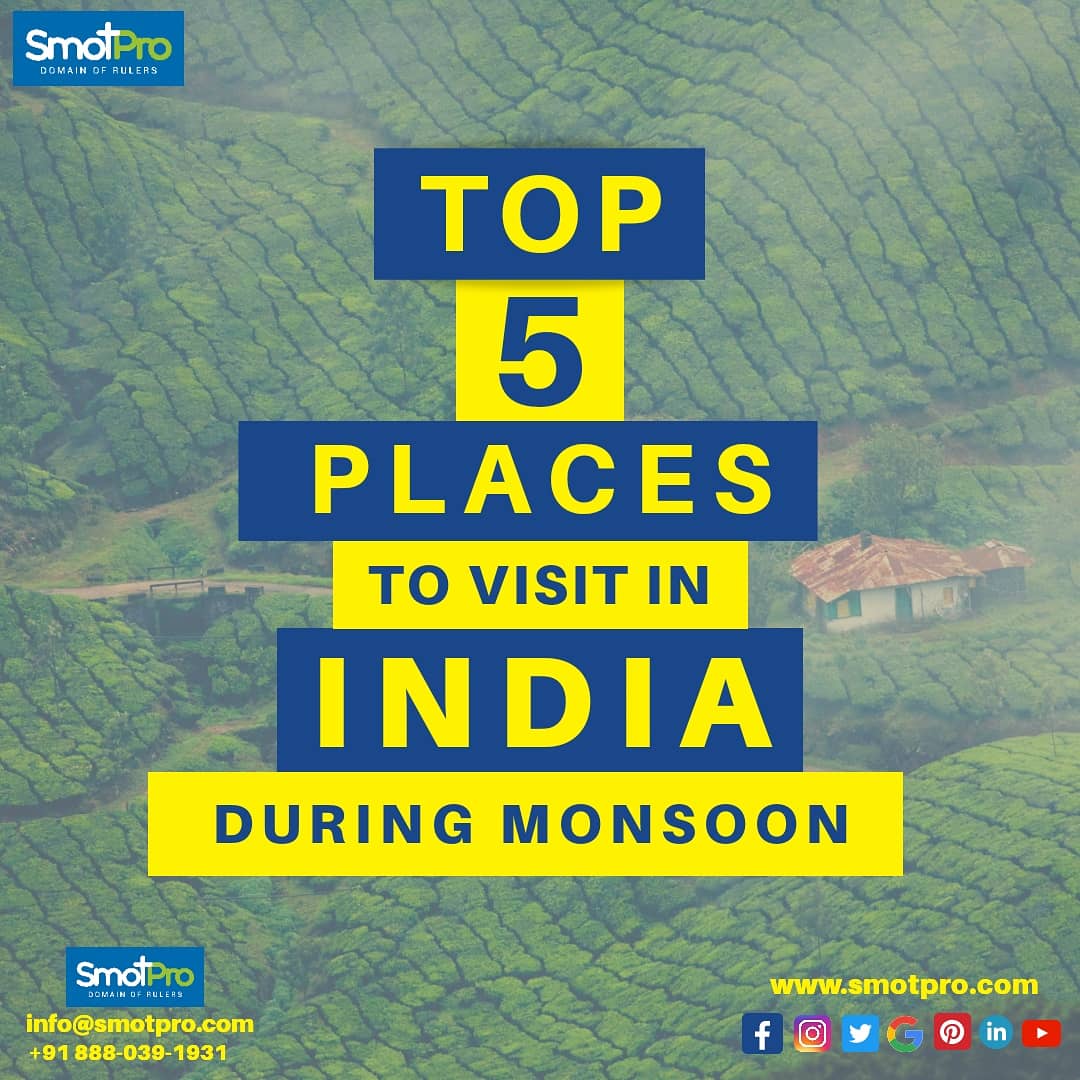 SMOTPro1's tweet photo. Top 5 Places To Visit In India During Monsoon.
For more details visit https://t.co/aYpBsKnP8w
.
.
.
#top5 #tourism #traveltheworld #travelindia #travelgram #toursandtravel #traveladdict #shillong #maharashtra #coorg #munnar #smotpro #placestovisit #instapic #travel https://t.co/yhd8jWjHQv