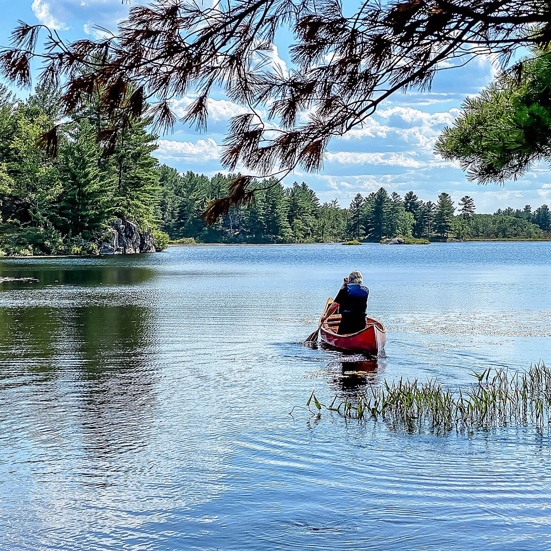 Naturally_L_A's tweet photo. Beautiful views from the water’s edge at Sheffield Conservation Area.
Find your next favourite paddle route: https://t.co/vqufvrbNJH
#unspoiledla #naturallyla #lennoxandaddington #stonemillstownship #quinteconservation #comewander #southeasternontario #discoveron https://t.co/CCdnYypRbW