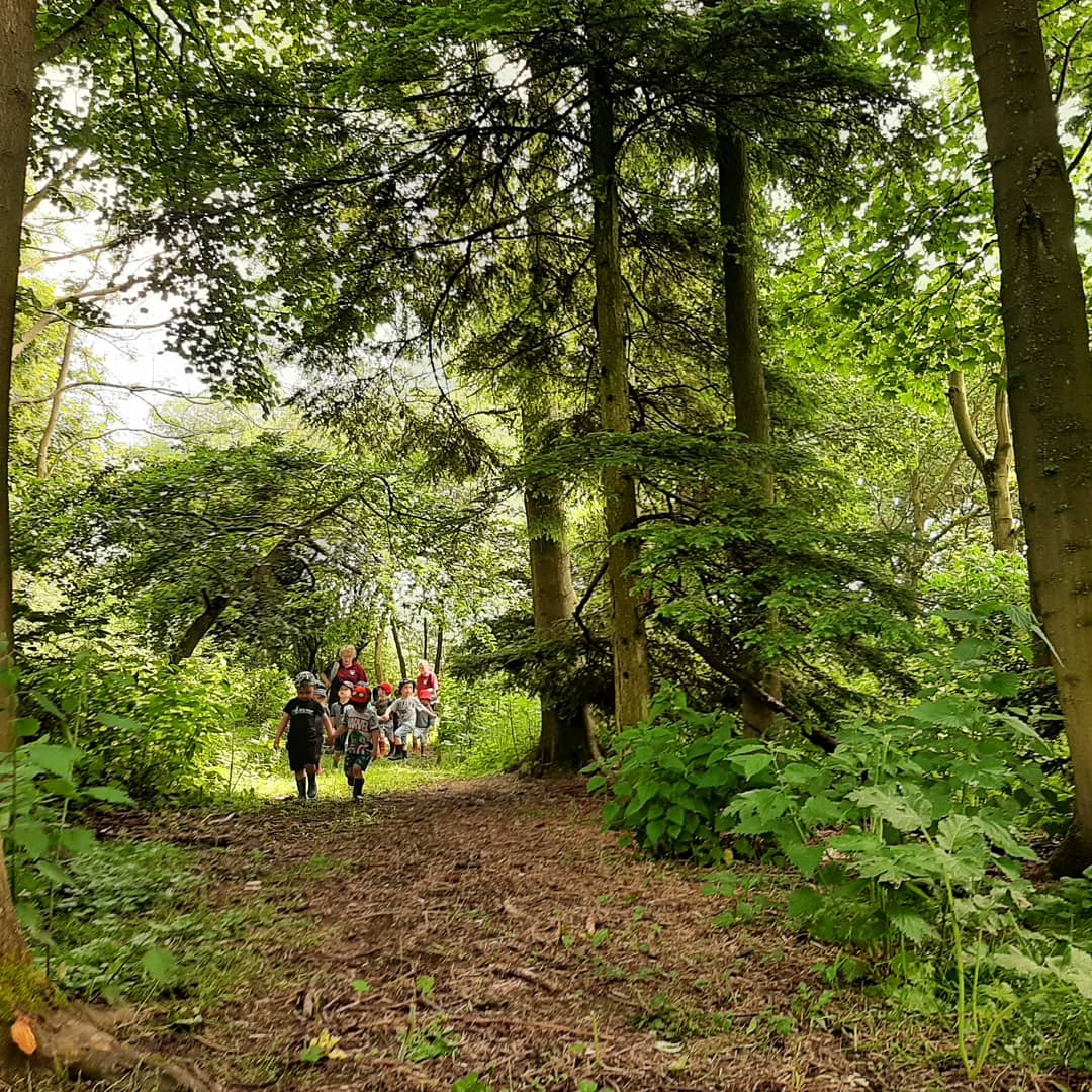 WAHdriffield's tweet photo. A very special adventure out to release our tadpoles and baby frogs back into the wild. 🐸 
We spotted snails, butterfly's and Buzzards, found sticks, streams and feathers 🦅 Find joy in the simple things and life will always be fulfilling 💚 #wahdriffield #wildschooling https://t.co/MRCbOh8I50