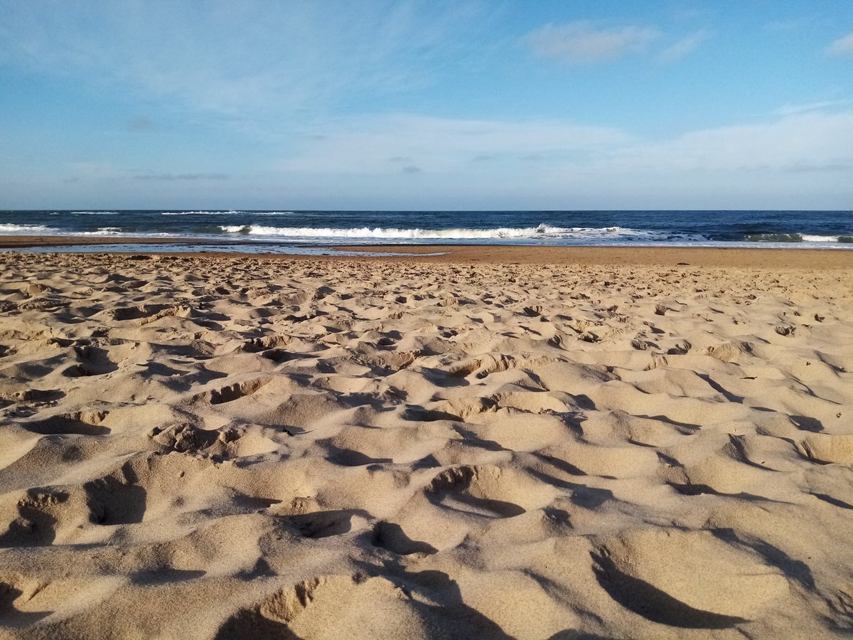 High Borrans Outdoor Education Centre tweet media