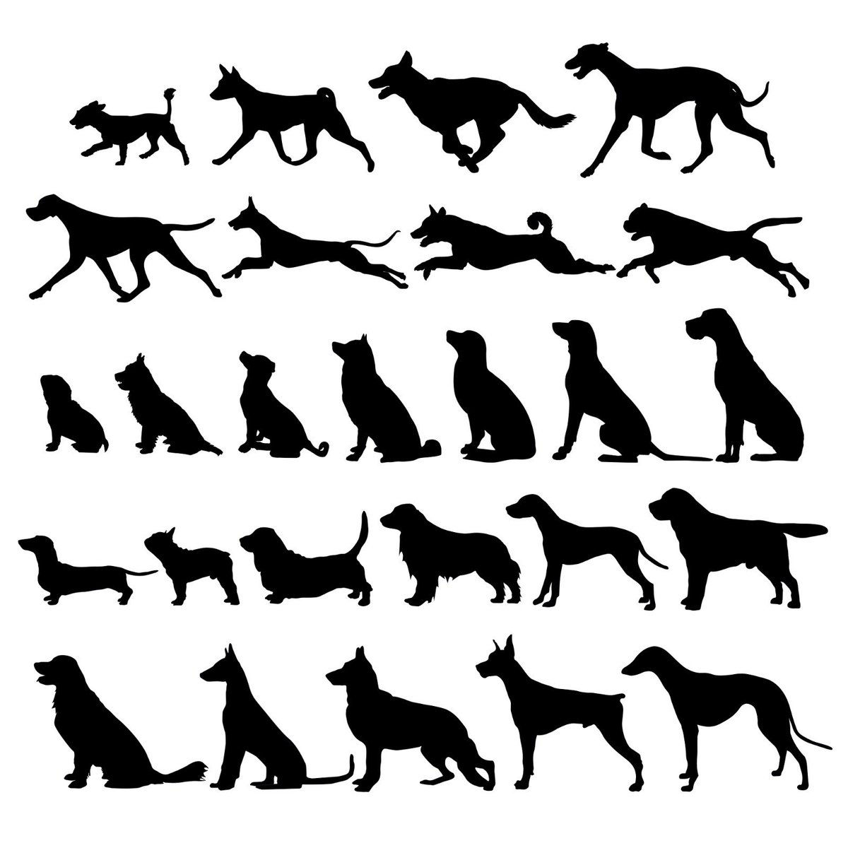 BiteBoxes's tweet photo. How many breeds could you name? 🐶🐾🐕
https://t.co/XxPKIDlKQN https://t.co/PHQBYkzcgJ
