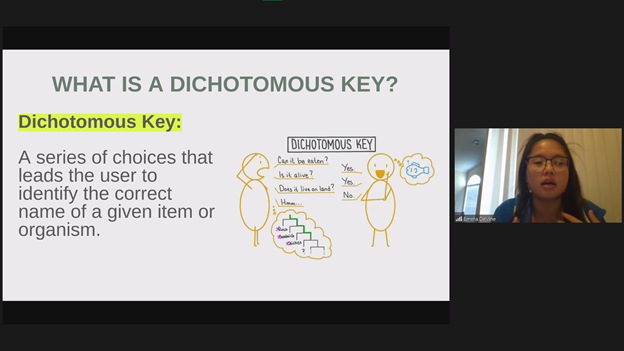 UTSW STARS Program tweet media