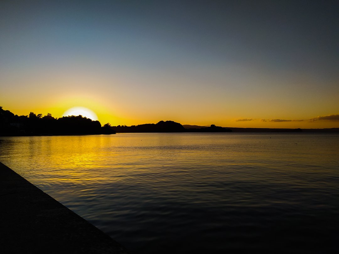 francesca pontani tweet media