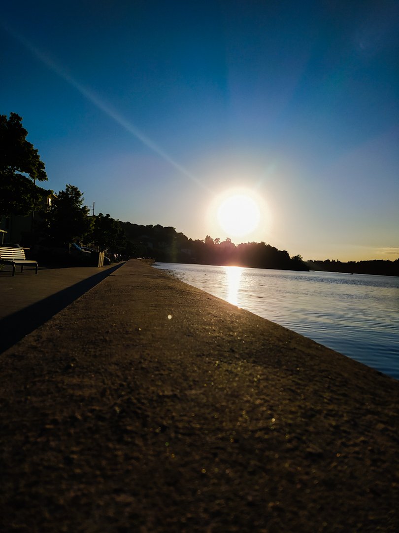 francesca pontani tweet media