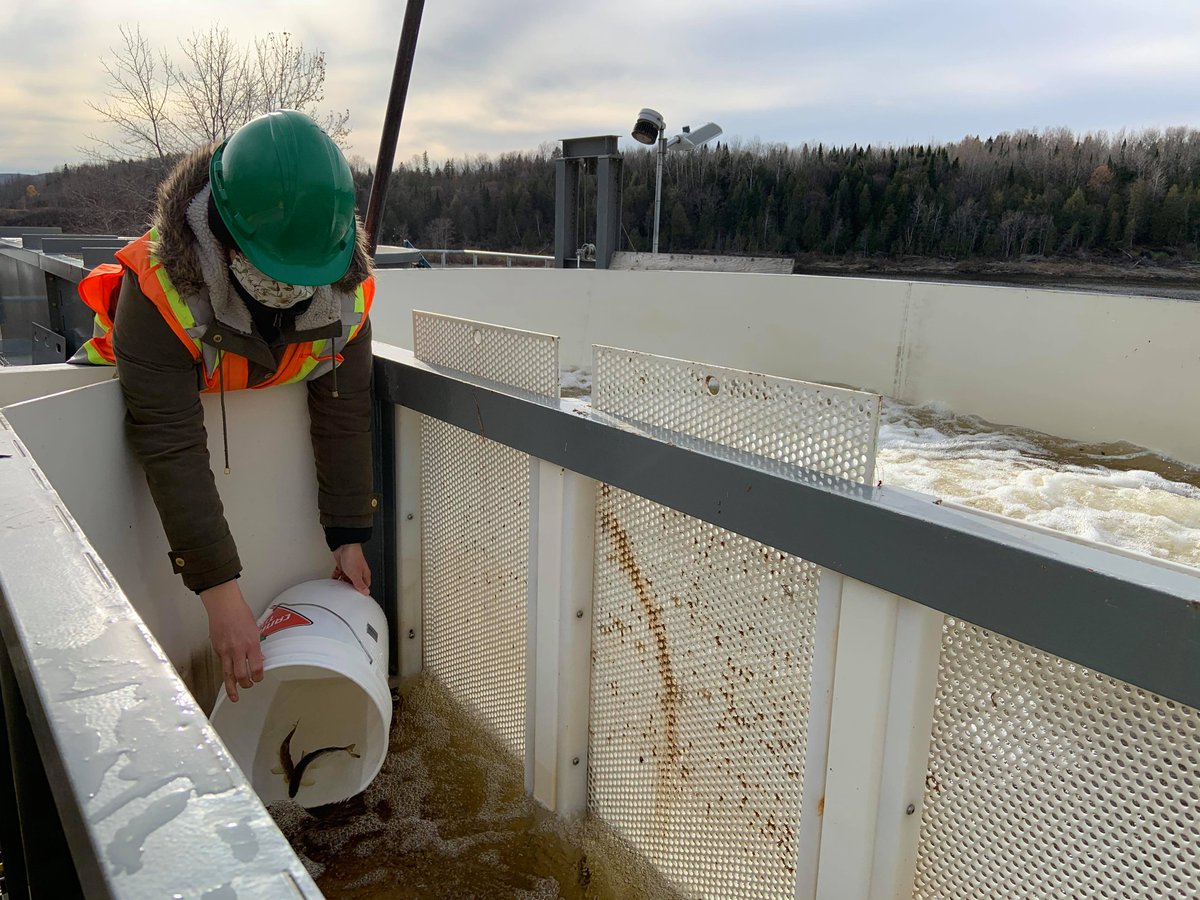 PortSaintJohn's tweet image. Our final @aivp_net blog showcasing our Port Partners is live! This blog highlights @Canpotex (Quality Food For All), Place Fort LaTour (Port City Interface), @ECW_ngo (Health/Life Quality) &amp;amp; @CRI_News (Protecting Biodiversity)
Check it out here: ow.ly/LLiO50Fm8eT