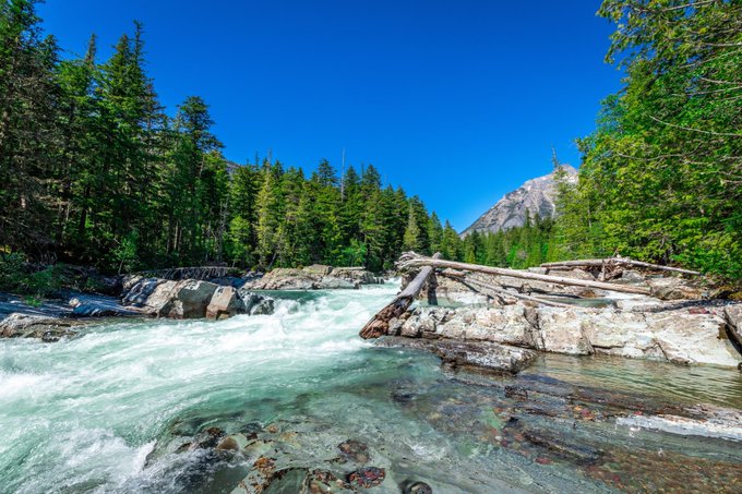 #glaciernationalpark #montana https://t.co/MU7INig78U<a href="/tag/glaciernationalpark"class="tags">#glaciernationalpark</a><a href="/tag/montana"class="tags">#montana</a>