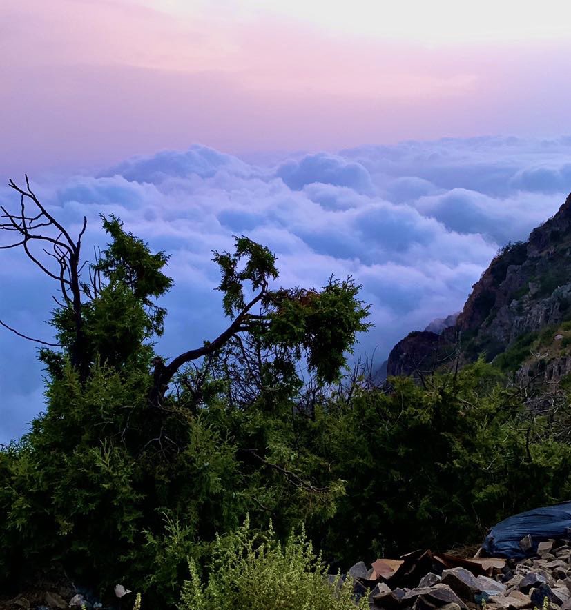 ميزه لما تكون في عسير تستمتع بالشروق في جزرها و تستمتع بالغروب من اعلى قممها الموقعين بينهم مية كيلو بس