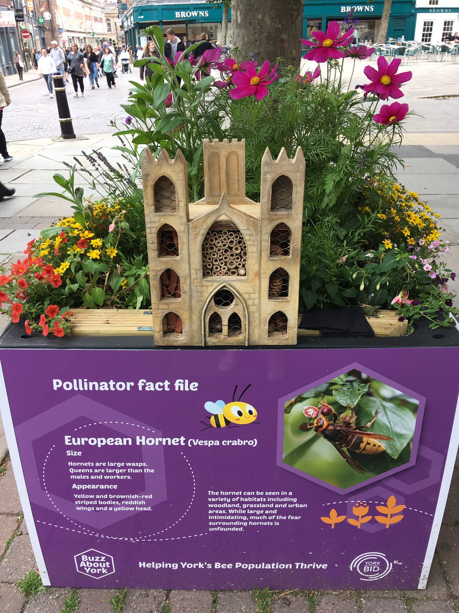 Love these gorgeous planters in #york centre - full of plants, info about #pollinators and minster-shaped bee hotels! Well done <a href="/VisitYork/">✨ Visit York ✨</a>
