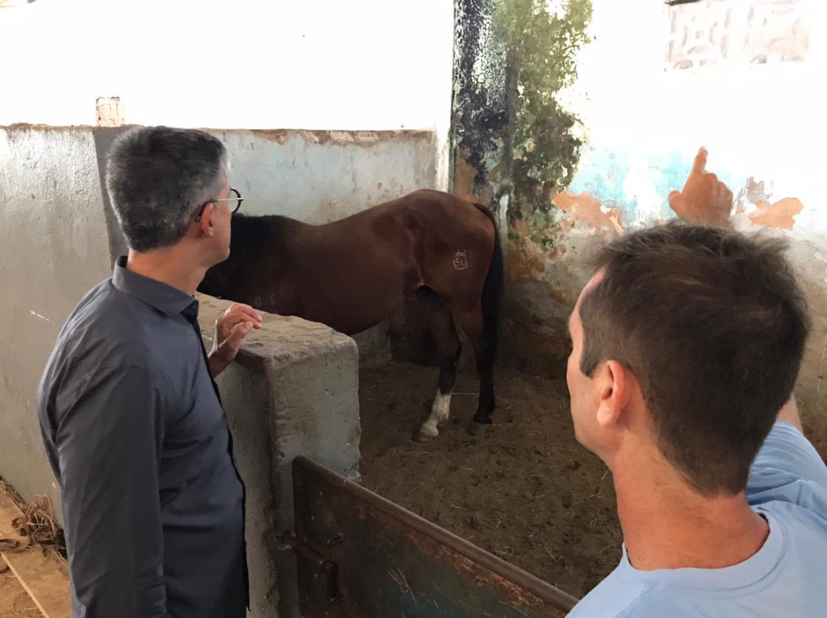 AzevedoCoronel's tweet photo. Também conversar e levar uma palavra de incentivo aos alunos soldados do Curso de Formação de Praças. 

#DeputadoCoronelAzevedo #BOPE #OperaçõesEspeciais #RPMON #Cavalaria #SegurançaPública #Mandato #SegurançaDeVerdade https://t.co/hqkE4RXHQr