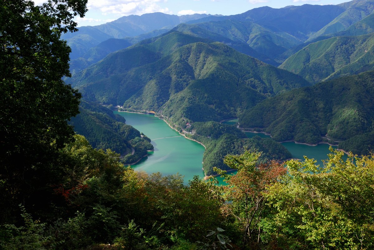 Tokyo_gov's tweet image. #HappyBirthday Tokyo! Today is the 78th anniversary of the official formation of the Tokyo Metropolitan area as it's known today, bringing together a diverse mix of 23 special district wards, nature-filled Tama region, and treasured islands.