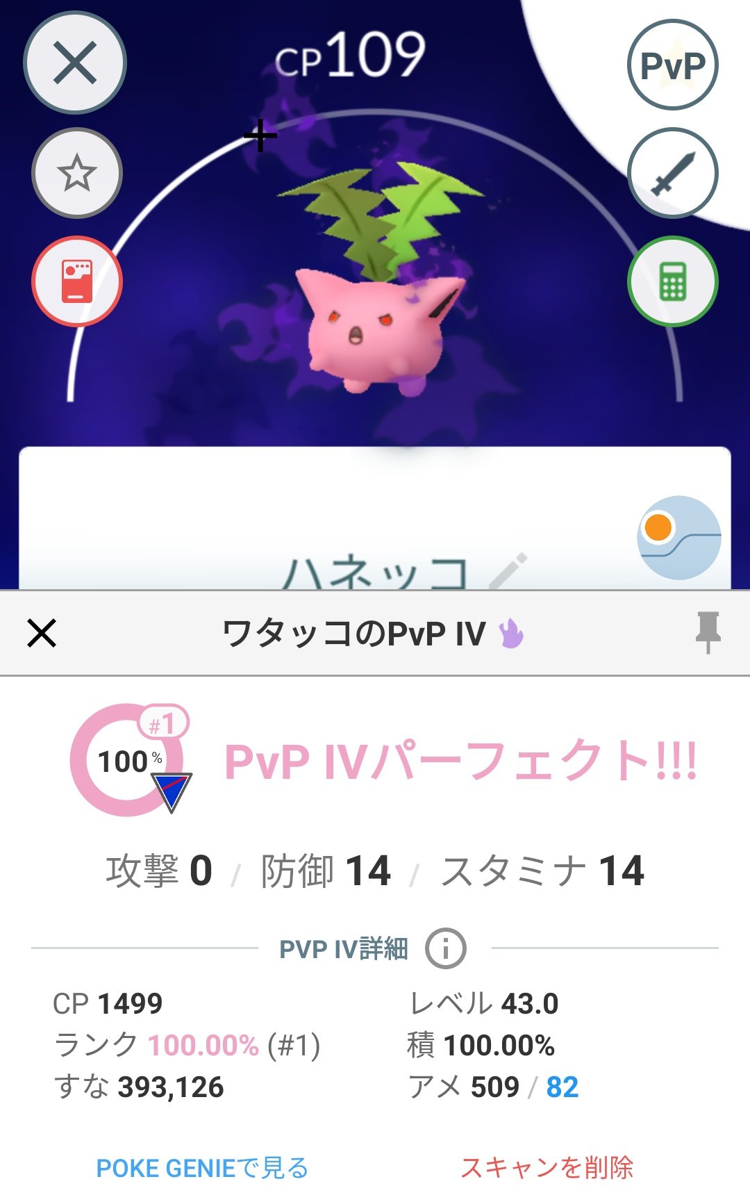 Twitter এ かっちゃん ８ ６ ８gofest札幌 昨日ポケモンｇｏでゲットしたｐｖｐでは高個体 シャドウワタッコに進化させてアメｘｌを使って強化すると スーパーリーグ１位になるシャドウハネッコ プレミアボールを２個使ってゲットしました ハネッコは色違い