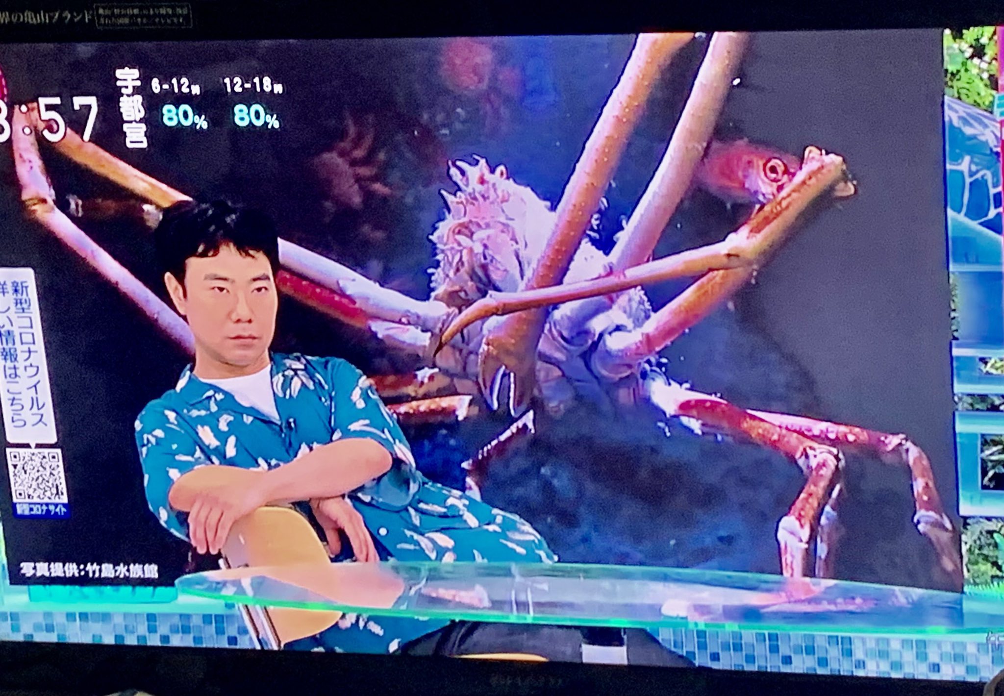 Zizi おたぬさん 高岡早紀を意識する藤井隆が好きすぎる あさイチ T Co Veqj7vstyz Twitter