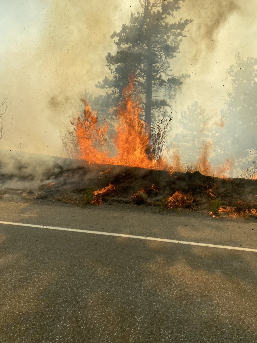 Tom Hoogendoorn tweet media