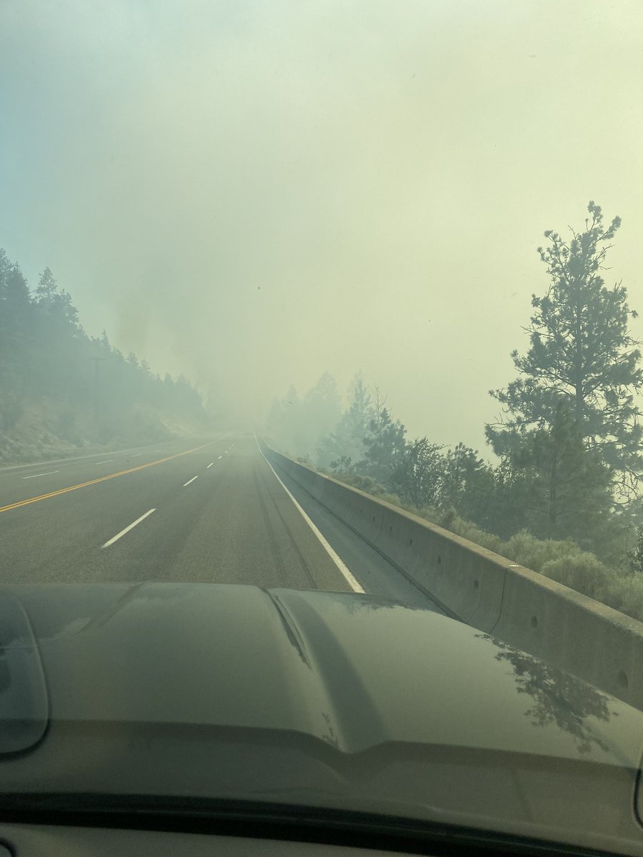 Tom Hoogendoorn tweet media