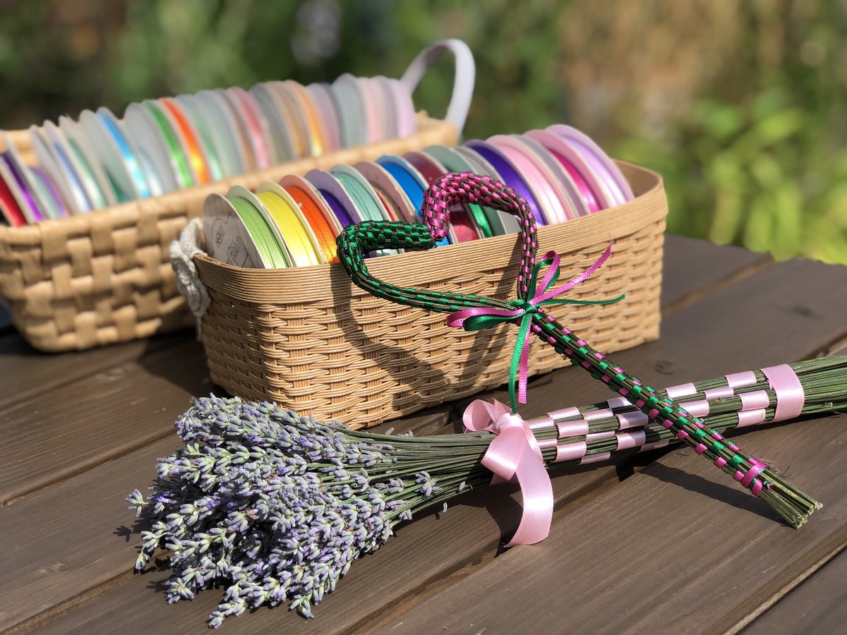 庭のラベンダー