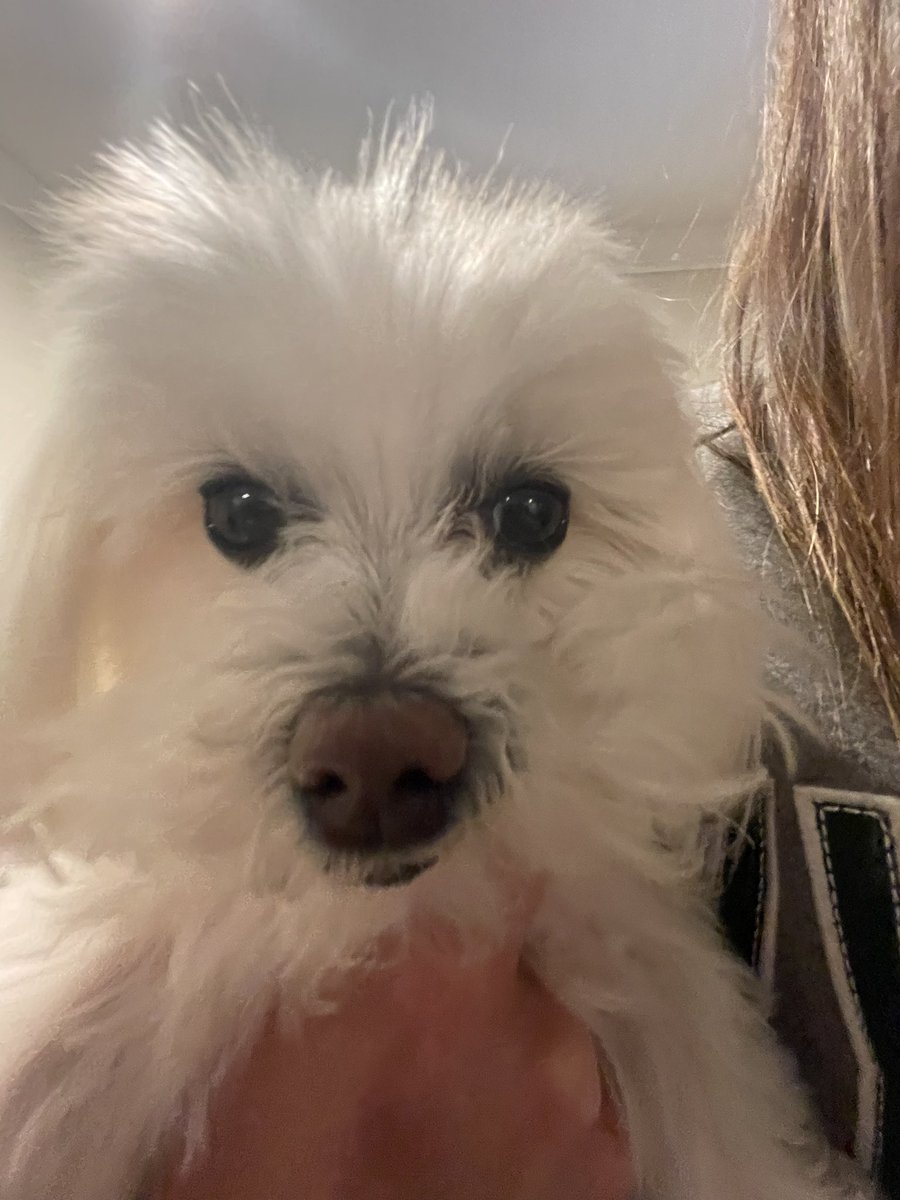 ashmarp8's tweet photo. Minnie in .5 https://t.co/FZlAuUFiqh