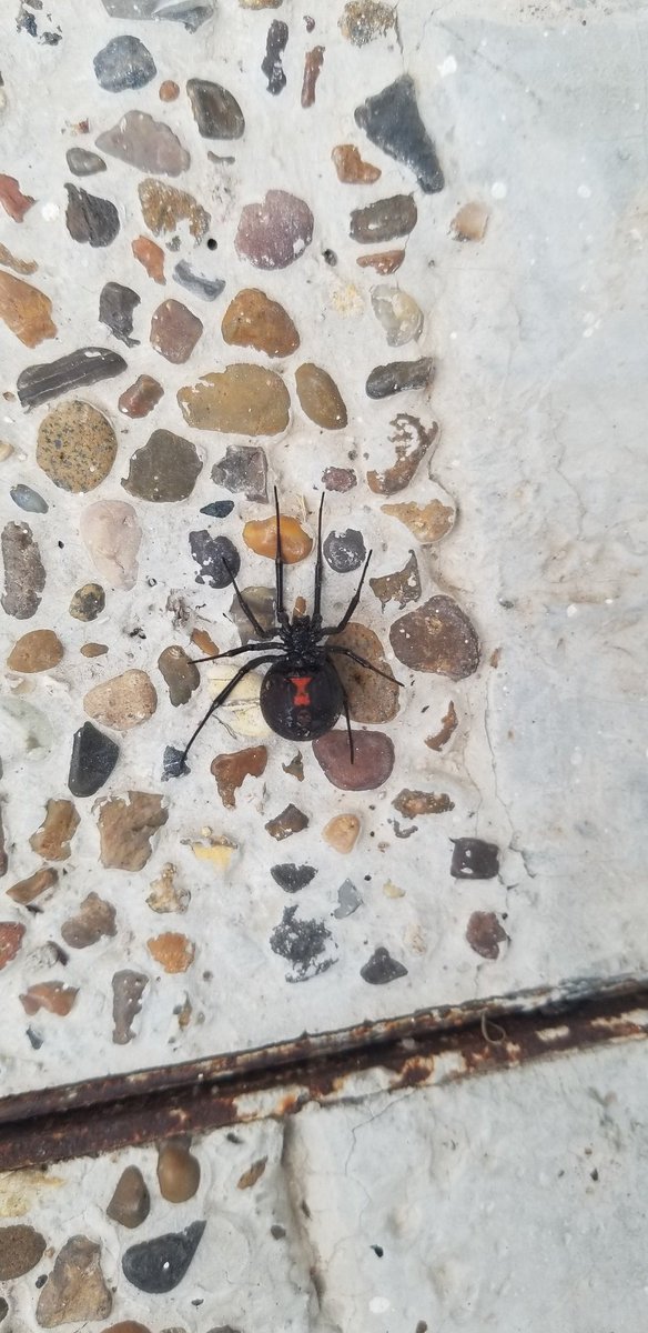 Maite GAR tweet media