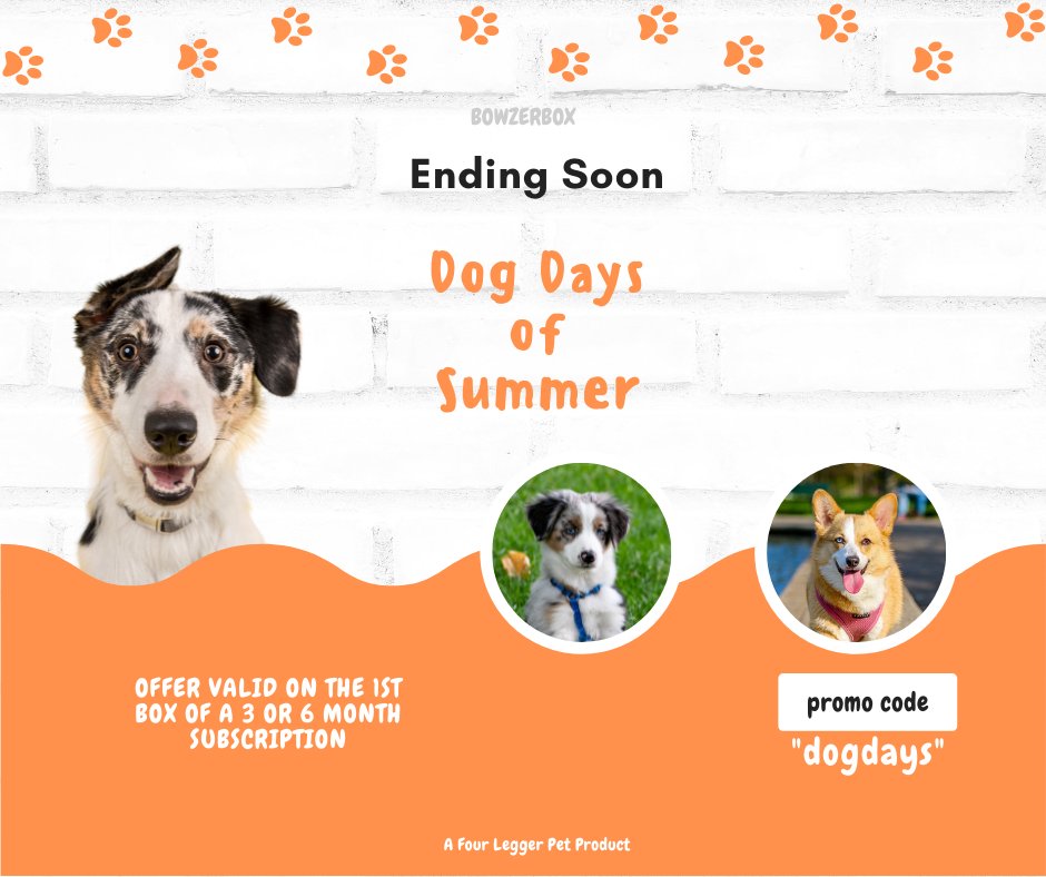 FourLeggerBox's tweet photo. Don't miss out on our Dog Days of Summer promo! Get a FREE TOY plus + 15% off your 1st DogBox (3 &amp; 6-Box). Use Promo Code DOGDAYS at checkout 🏖️🐕 on https://t.co/eol4WoWvNj 

#DogBox #SubscriptionBox #DogDaysOfSummer https://t.co/0YfPFESRTd