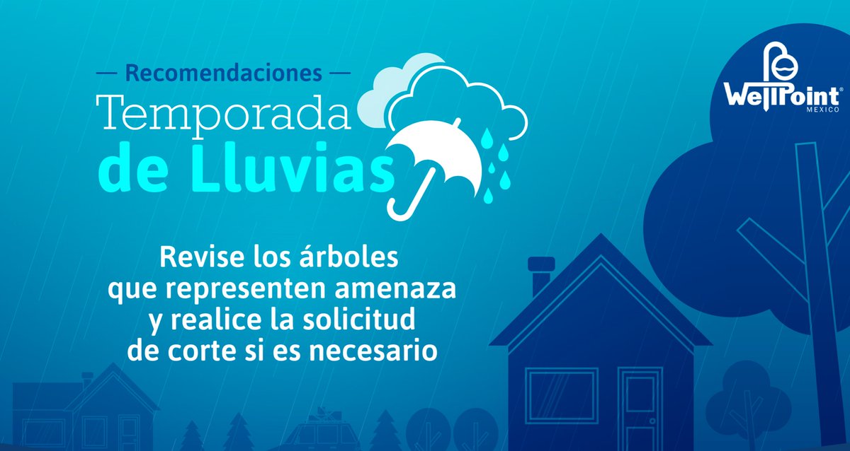 Recomendaciones en Temporada de lluvias.

Revise los árbales  que representen amenaza y realice la solicitud de corte si es necesario  

#Recomendaciones
#Lluvias
#Árboles
#WellpointMéxico