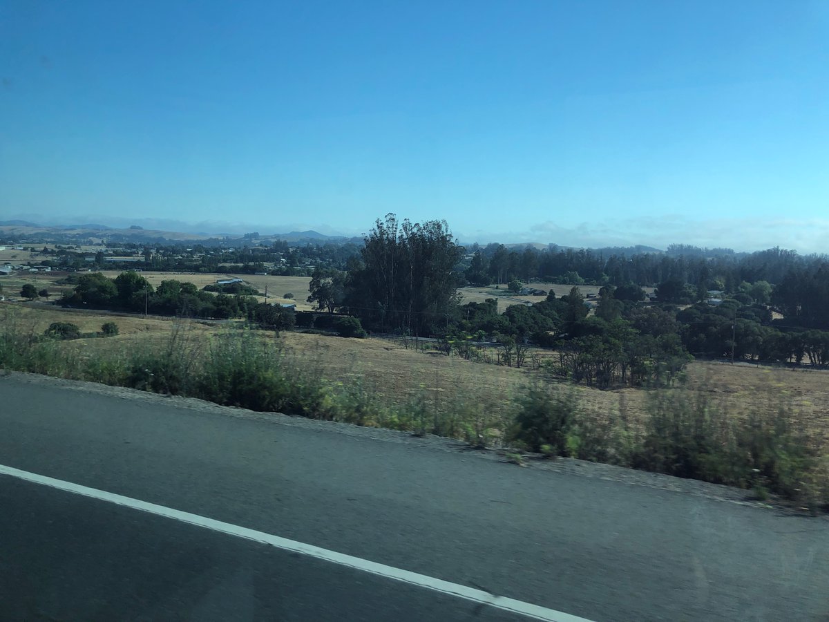 TheFamilyAliens's tweet image. #HillCheck #FogCheck #BusCheck #TripCheck #BlockCheck