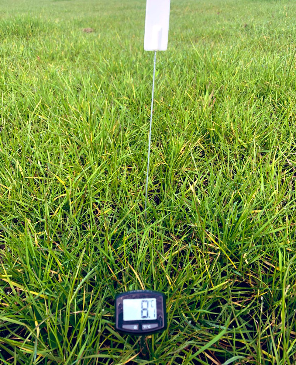 Soil temperature this morning at the Flynn Ryegrass Trial. 192mm for June and plots are looking short of N and waterlogged. Tissue test indicated K, Mg &amp; Zn also an issue. Time to bring out the liquids tool bag. #MaxNPact #Lokomotive #Awaken #Radiate #EazyflowNannoMg