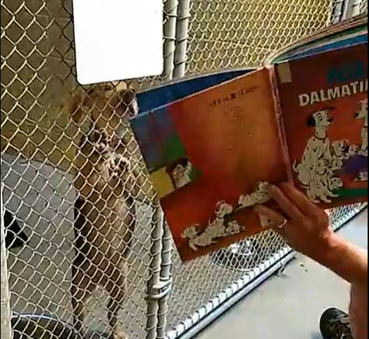 FriendsWithDogs's tweet photo. This week, hear how the creative folks at the @kyhumane enlist volunteers to help keep their dogs calm during July 4th fireworks – by reading to them! Listen at https://t.co/TM6NOvnhLt or via your podcast provider. https://t.co/7Xjy4pOEgw