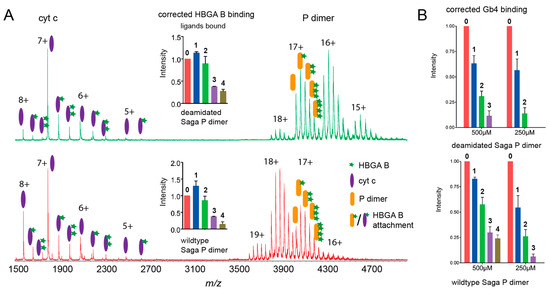 Life_MDPI's tweet photo. 🤓#mdpilife New article from Hao Yan et al.
@ERC_Research @EuropeanXFEL
Protein Secondary Structure Affects Glycan Clustering in Native Mass Spectrometry
https://t.co/HdFklNLmtY
From Special Issue: Capsid Protein
https://t.co/tldjVtrJX6
#electrospray ionization
#HBGA https://t.co/T87UXLvQgE