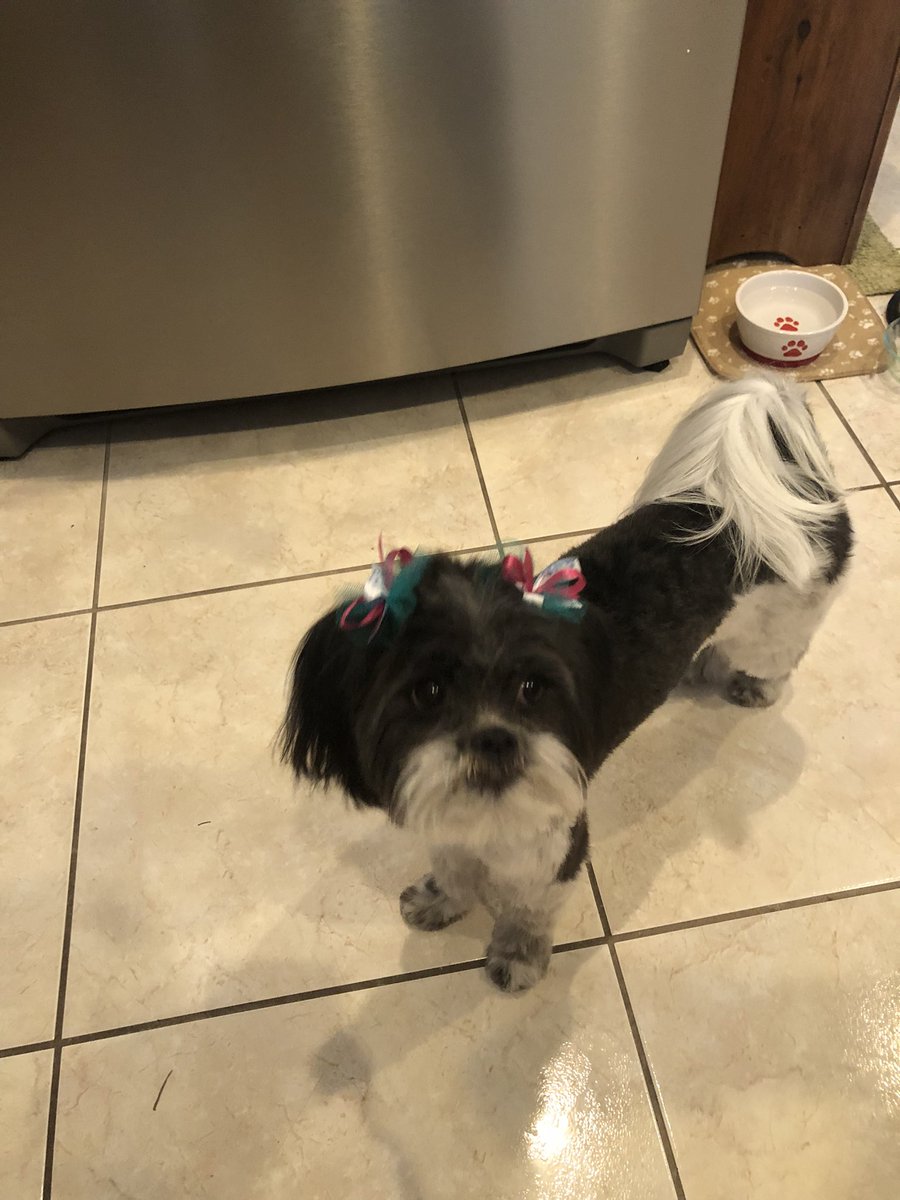 Jaye Power tweet media