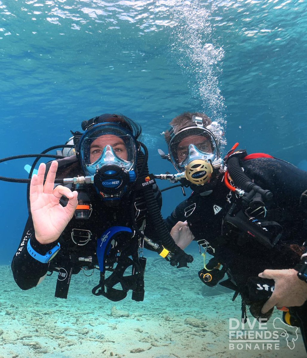Dive Friends Bonaire tweet media