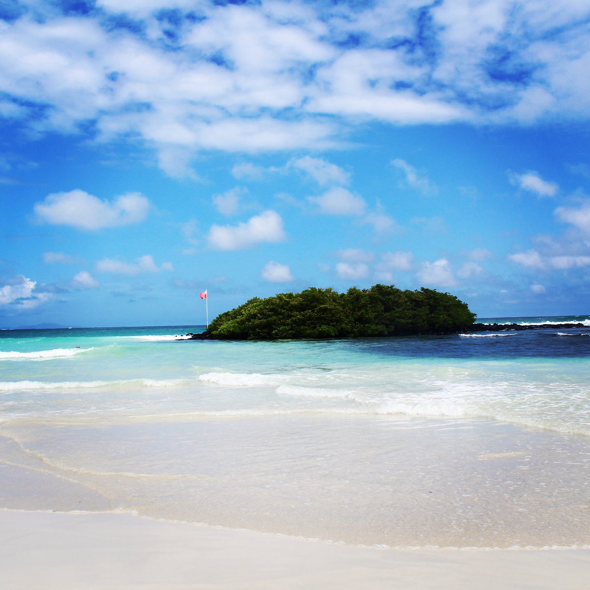 This is Ecuador tweet media